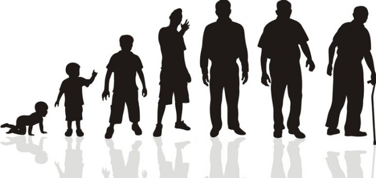 Su sfondo bianco ombre di profili umani che rappresentano le varie fasi della vita: prima infanzia, infanzia, preadolescenza, adolescenza, prima età adulta, età adulta, terza età