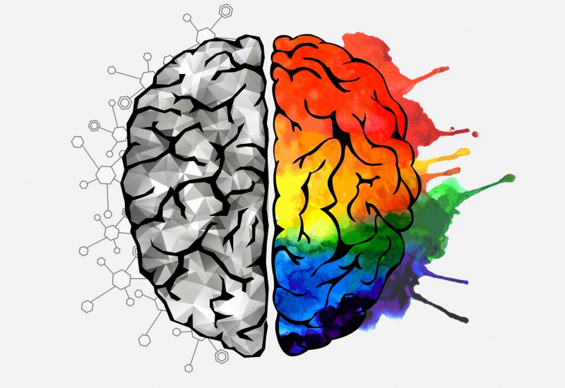 Disegno di un cervello visto dall'alto.
Dall'emisfero sinistro, colorato con sfumature di grigio, fuoriescono diagrammi di formule chimiche.
Dall'emisfero destro escono macchie di colore